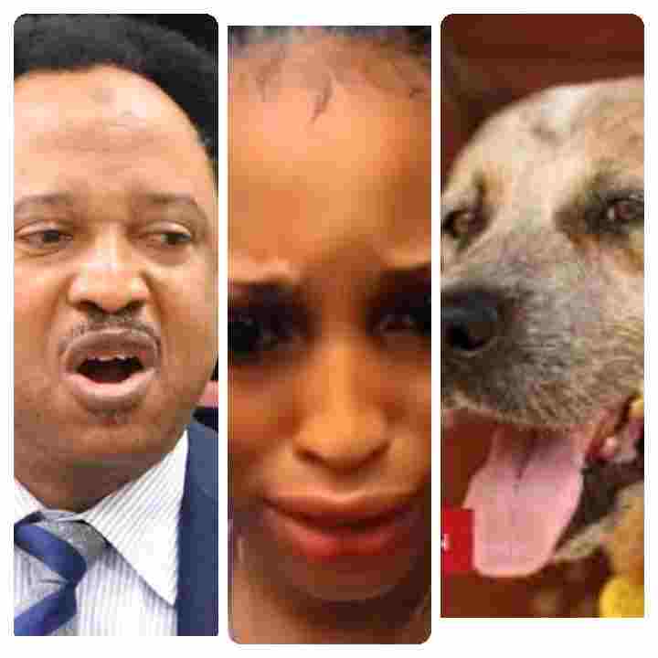 Sleeping With Dog Immoral, Deserves Serious Punishment – Shehu Sani