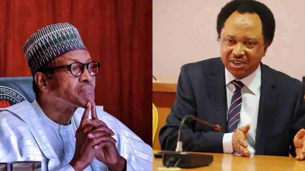 “When Nigeria Has Problem, You Always Embark On Foreign Trips ” Shehu Sani Berates  Buhari