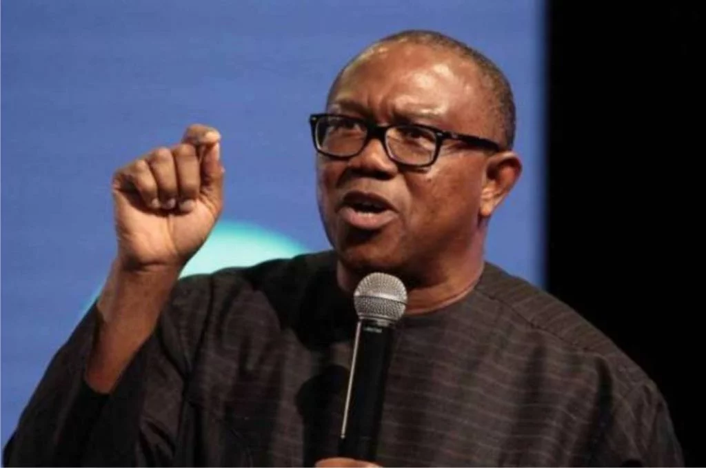 Lunatics Have Taken Over Politics In Nigeria – Peter Obi