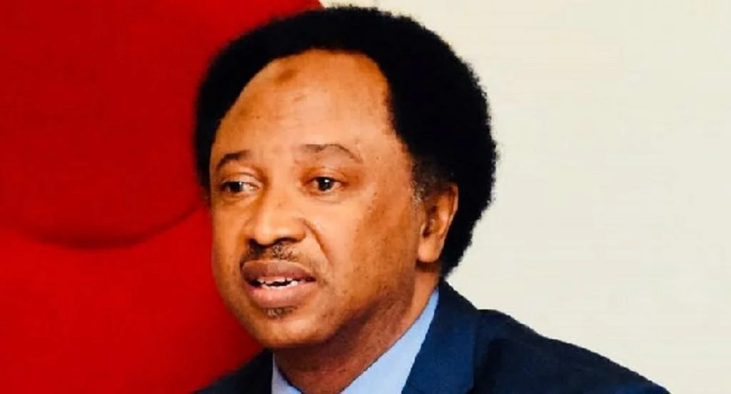 2023 : Revive Fresh Party – Shehu Sani Berates Chris Okotie Over Statement