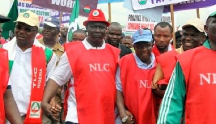 ASUU Strike: Nigeria Labour Congress To Hold 2-Day Nationwide Protest