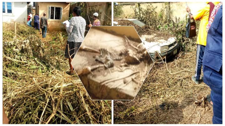 Shocker!Four Year-Old Dead Body Discovered Inside Bedroom In Ibadan(Photos)-Eaglessightnews