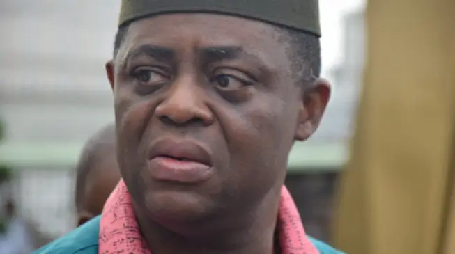 DSS Invites Fani-Kayode Over Coup Allegation