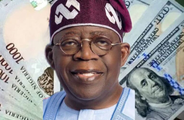 Updated: Naira Crashes at I&E Market as Tinubu Devalues Currency