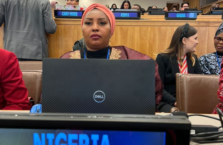 Photos:Hon Toyin Balogun,Barrister Uju Kennedy, Others Attend CSW-68 in New York