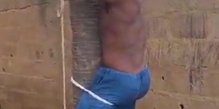 Fact-Check:How Angry Youths Tie Party Chairman To A Tree, Beat Him Mercilessly For Selling Palliatives (Watch Video)