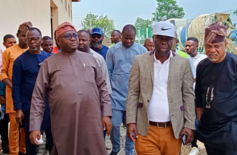 Energy Expert, Ademola Agoro Hosts Nigeria’s Minister Of Power In Ibadan Meter Manufacturing Factory(Photos)