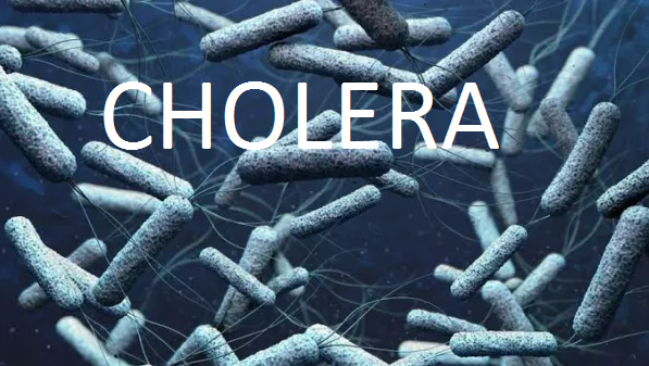 BREAKING: Lagos Records 15 Deaths, Confirms 350  Fresh Cholera Cases