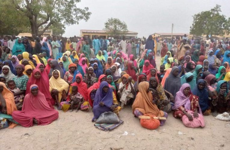 Incredible: Benue IDPs Camp Sees Staggering 200 Babies Born Every Month Amidst Crisis