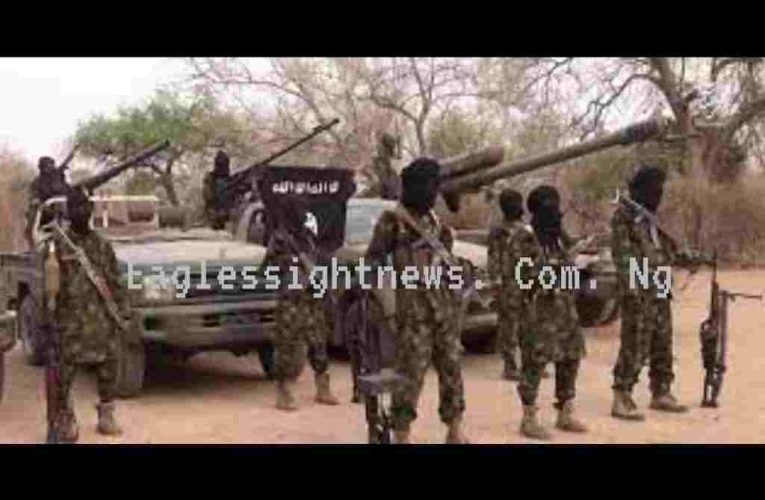 Breaking: Boko Haram Kills 20 in Niger, 10 Beheaded in Daylight Massacre, Senator Cries Out