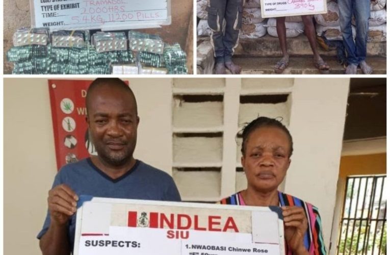 NDLEA Seizes N4.7bn Cocaine, Meth At Lagos Warehouse, Arrests Siblings In Aba