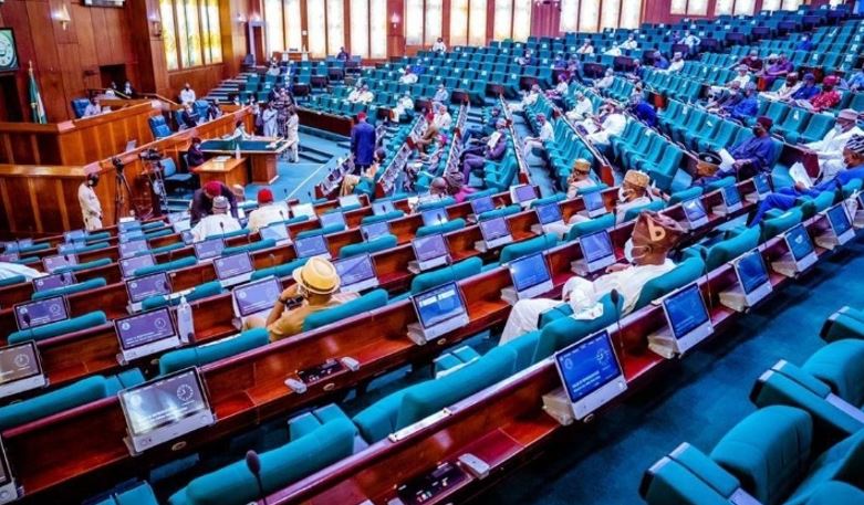 DEVELOPING: Nigeria Reps Propose Radical Reforms, Single Term, Power Rotation & More