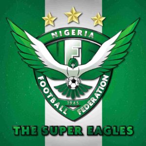 Breaking:Nigerian Super Eagles Get a New Coach(Profile-Photo