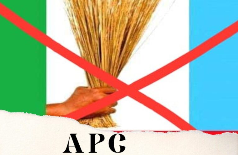 APC’s Emotional Outbursts Ring Hollow as Makinde Towers as Southwest’s Pride – GSM Advocates