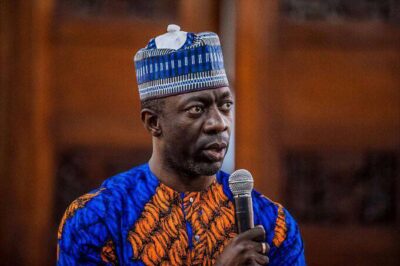 Bimbo Adekanmbi: Looking beneath the surface|Jide Ajayi