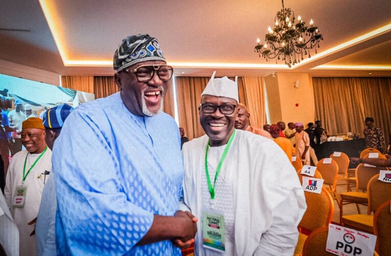 Odidiomo Hails Interim NWC Leadership  as PDP Repositions for 2027